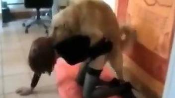 Masked chick sucking on a dog's dick for the camera
