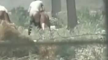 Aroused guy secretly recorded intensely penetrating a cow