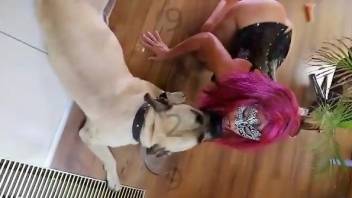 Pink hair Latina loves fucking dogs for the cam
