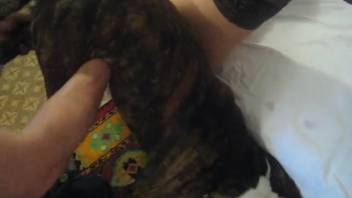 Intense backdoor canine adult film live on webcam featuring a passionate novice spouse in estrus