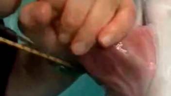 Underwater bestiality scene of a guy deepthroating a dolphin's penis