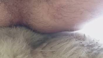 Furry anus guy being pounded by an attractive canine