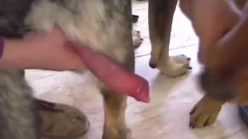 Steamy sex film starring a perverted beast