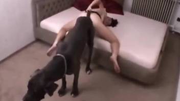 Thin lady with a nice ass enjoying a dog's dick