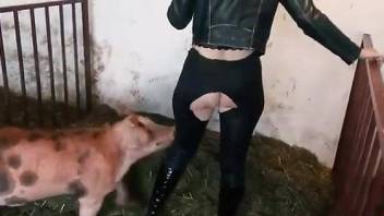 Oozing zoophile pussy punished by a dirty pig