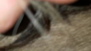Guy thrusts his hard dick into a beast's steamy orifice