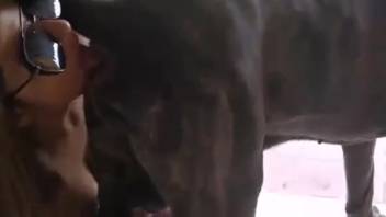 Busty Latina babe receiving oral sex from a hot mixed-breed dog