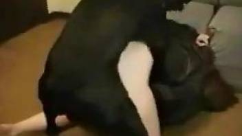 Aroused female ass licked and fucked hard by a black dog