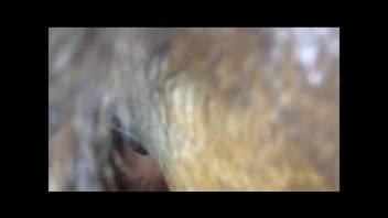 Man employs his thick dick to screw a creature really deeply