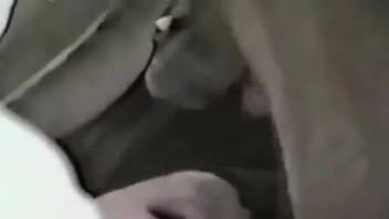 Attractive bestiality enthusiasts females giving blowjobs to make a statement