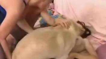 Super sexy dog humping this amateur hoe into submission