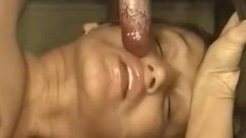 Mature gets dog sperm on face after blowing a stiff dog penis
