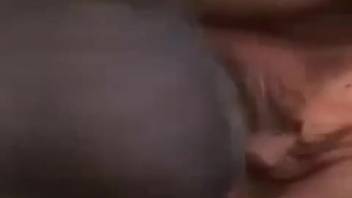 Stunning woman deepthroats the stud's cock and gulps it down