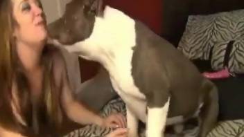 Dog with big balls fucking a really horny zoophile