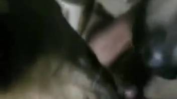 Guy satisfying a beast with his succulent cock