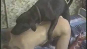 Blonde with curly tresses receives ebony shaft in her groomed snatch