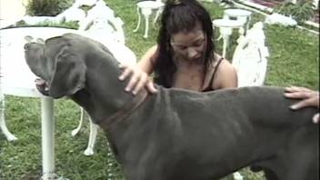 Canine bangs fair-haired spouse as husband observes