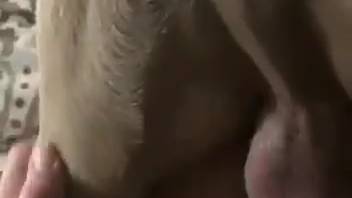 Intense moments of brutal bestiality featuring a guy and a canine