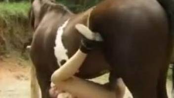 Outdoor severe horse porn along a needy for sperm teen