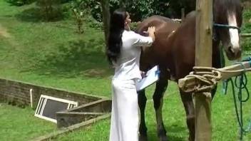 Latina woman appears working on a big horse dick in brutal zoo scenes