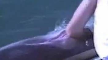 Marine zoophilia with woman fisting dolphin and posing it on cam