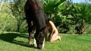 Horse pastures on lawn while skinny girl plays with his giant prick