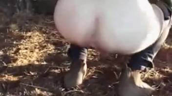 A pale stallion pounding a narrow opening from the rear