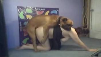 Busty babe getting pounded brutally by a sexy mutt