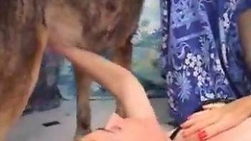 Blonde mature with hairy cunt fucked by a dog and jizzed