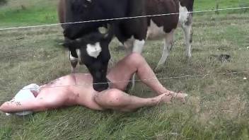 Two sexy cows licking all over her titties here