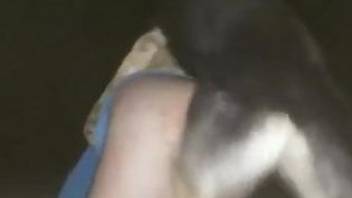 Male filmed in the middle of the night trying hard dog sex