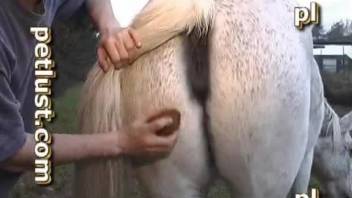 Man humps horse from behind in amateur xnxx video
