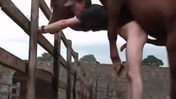 Loud hardcore farm porn for a gay man with a horse in his ass