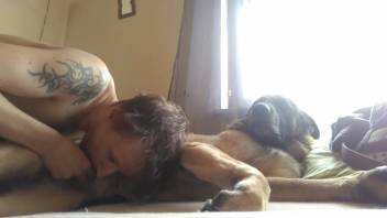 Blond homosexual man relishes the hairy canine penis for some indoor entertainment