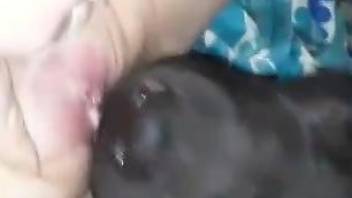 Hairless pussy being pleasured by a really sexy dog