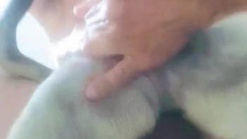 Horny owner films himself deep fucking the dog