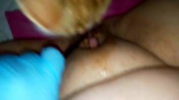 Feline tonguing a chick's vagina in a steamy adult film