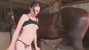 Brown stallion enjoying hardcore love with a skinny gal