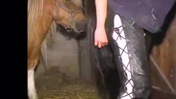 Woman in leather trousers being banged by a sexy stallion
