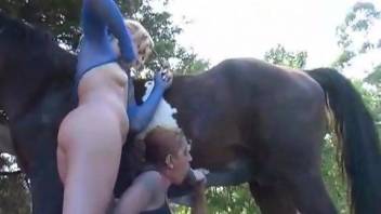 Bitches share large horse dick in outdoor zoophilia threesome