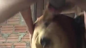 Dude with a juicy butthole banging a dirty doggo