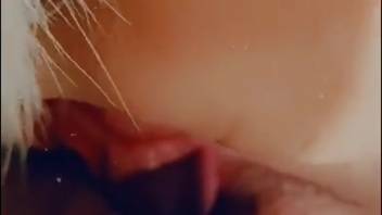 Intimate close-up of a dude banging a female horse's pussy