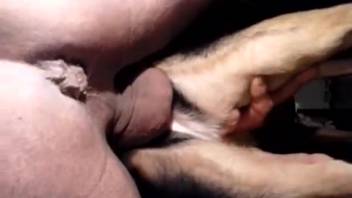Guy thrusts his hard cock all the way into the bitch's pussy
