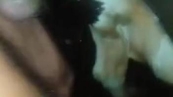 Guy employs his dick to satisfy a perverted beast right here
