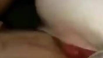 Naked female enjoys whole dog dick down the vagina in amateur scenes