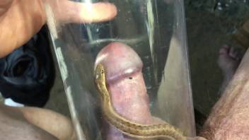 Guy sticks his penis into a container packed with wriggling worms