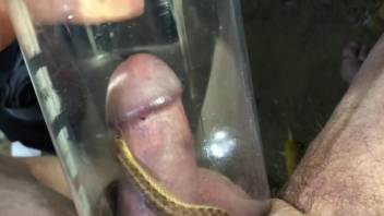 Man inserts dick in a jar full of crawling worms