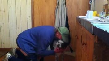 Agonizing anal session with an obedient and homosexual pup