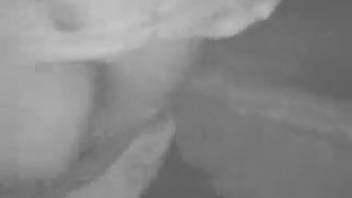 Incredible evening romp with massively huge beast cock