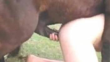 Fornicatress takes immense cock of horse inside tight pussy